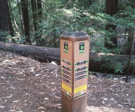 Toyon Campground