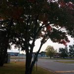 Stoneybrook South