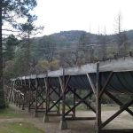 PSEA Camp Wishon