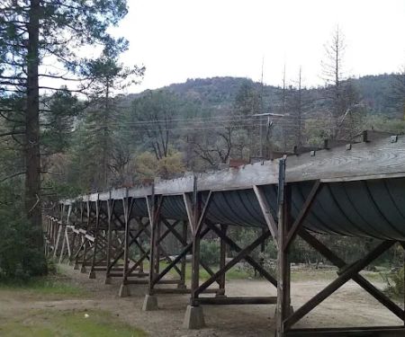 PSEA Camp Wishon