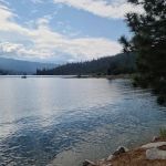 Lupine Spring Cove