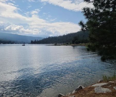Lupine Spring Cove