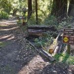 Tarwater Trail Camp