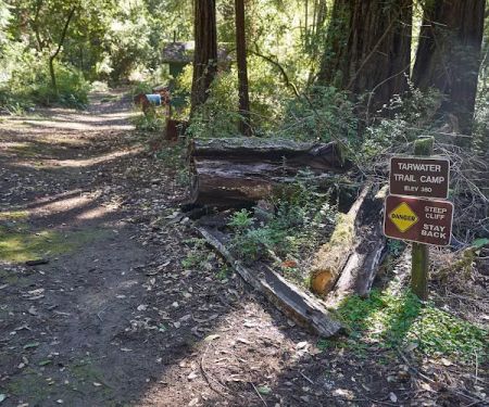 Tarwater Trail Camp