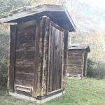 Orchard Camp