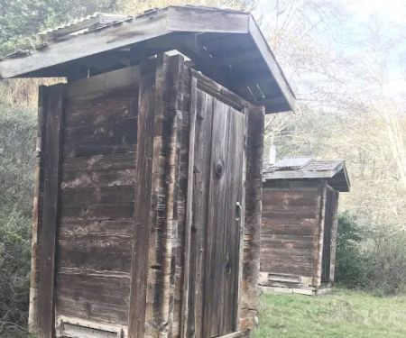 Orchard Camp
