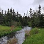 Piney Park
