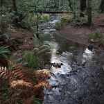 Nadelos Campground