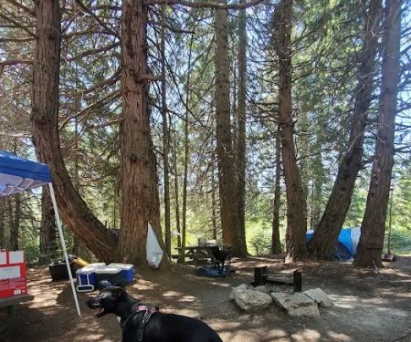 Whiskers Campground