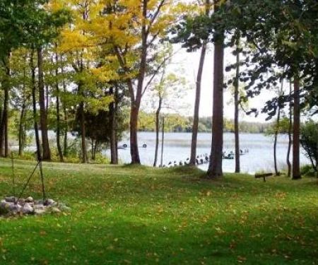 Backwoods RV Park