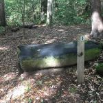 Lane Trail Camp