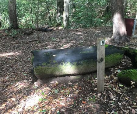 Lane Trail Camp