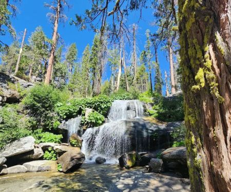 Whisky Falls Campground