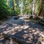 Sequoia Group Camp
