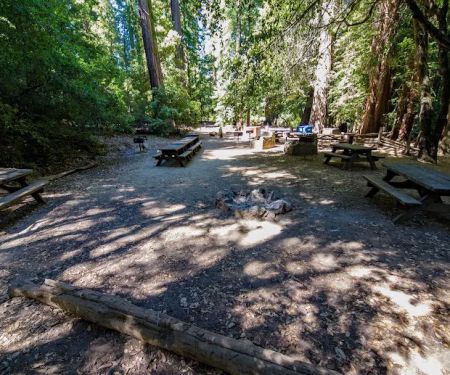 Sequoia Group Camp