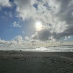 Mattole Campground