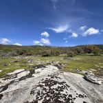 Nutmeg Campground