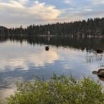 Lower Billy Creek Campground
