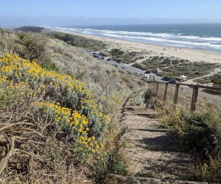 Sunset State Beach Campground