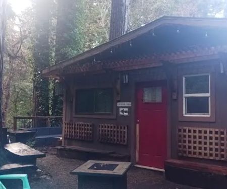 Cabin in the woods