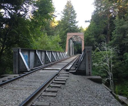 Henry Cowell Redwoods State Park Campground