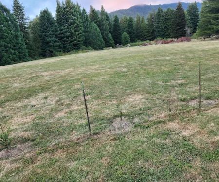 Sttaford RV park