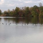 Lakeview Ranch MHC