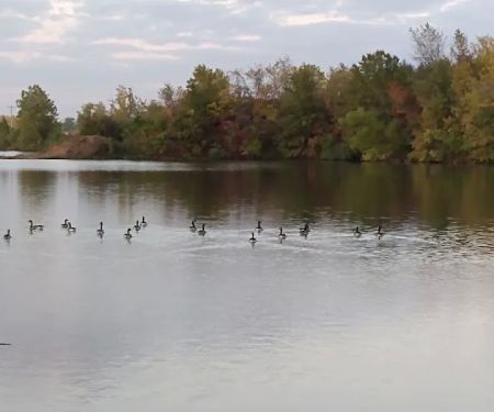 Lakeview Ranch MHC