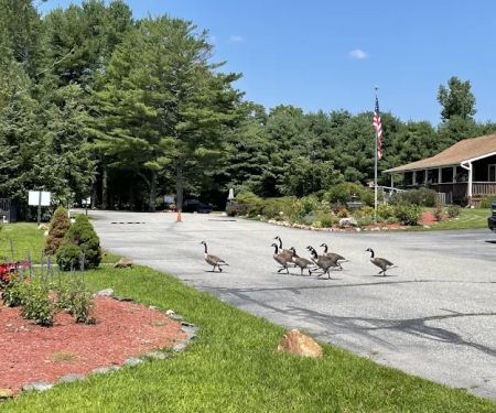 Aces High RV Park