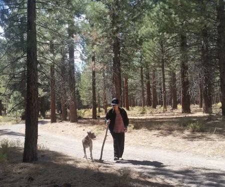 Old Shady Rest Campground