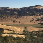 Laguna Mountain