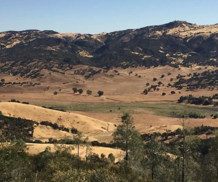 Laguna Mountain
