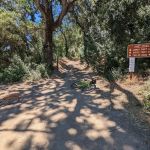Piney Creek Campground