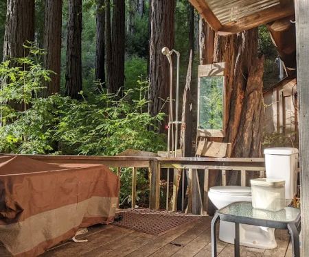 Serenity Cabin
