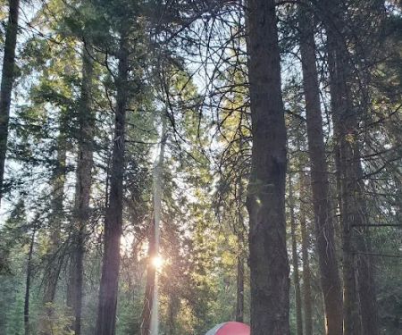 Shake Camp Campground