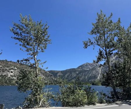 June lake