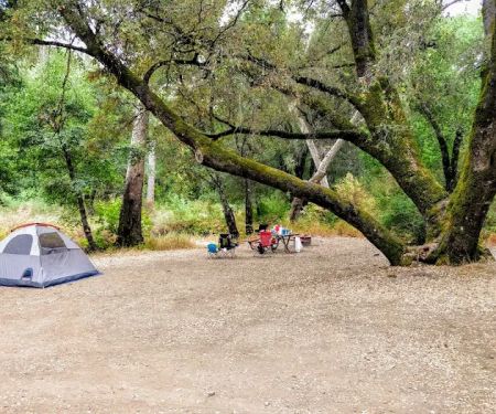 Alder Creek Camp