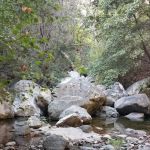 Spruce Campground