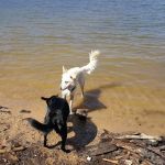 Sandy Point Campground