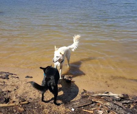 Sandy Point Campground