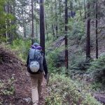 Terrace Creek Camp