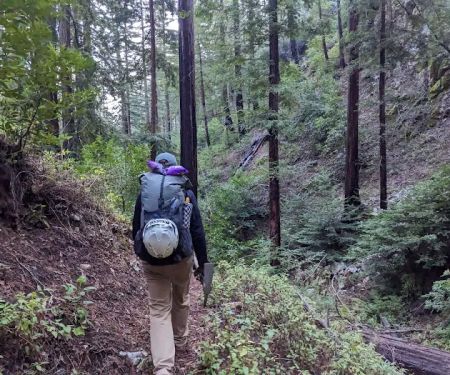 Terrace Creek Camp