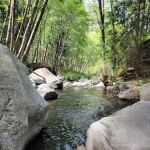 Wishon Campground