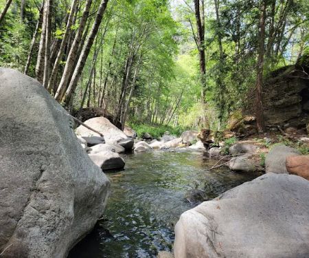Wishon Campground