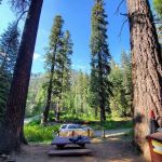 Cold Springs Campground