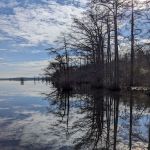 Cypress Landing RV Park