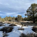 Holiday Campground