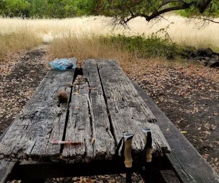 Buckeye Campground