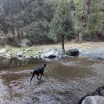 Cholollo Campground