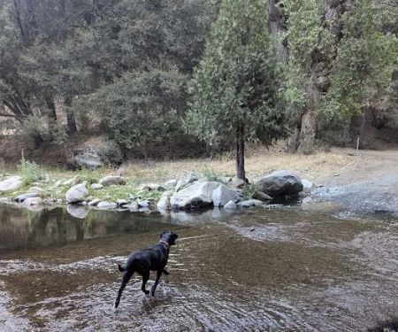 Cholollo Campground